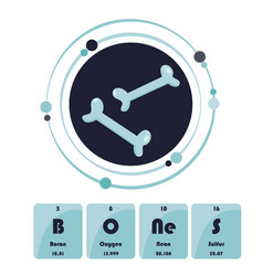 Bones Science Design