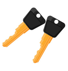 House Keys On A White Background