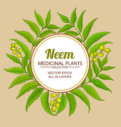 Neem Branches Frame On Color Background