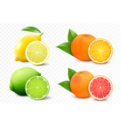 Set Of Citrus Lemon Mandarin Lime Orange