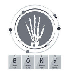 Bony Science