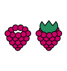 Raspberry