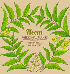 Neem Branches Frame On Color Background