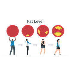 Cholesterol Level Layers Of Fat In Blood Vessel