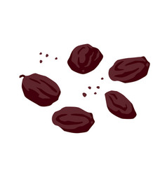 Set Of Drawn Raisin Isolated