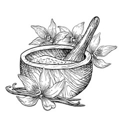 Vanilla With Mortar And Pestle Hand Drawn