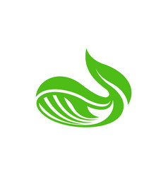 Animal Orca Leaf Logo Design