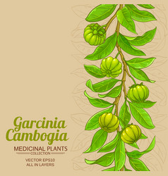 Garcinia Branches Background