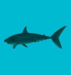 Flat Design Shark