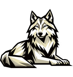 Angular Image Of A Lying Gray Wolf