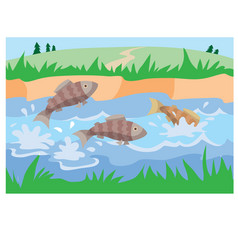 Fish Splashing In A Pond Surrounded Green