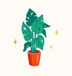 Monstera Plant In A Pot Flat