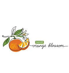 Orange Blossom Neroli One