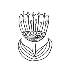 Flower Isolated On White Colouring Page Outline