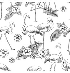 Flamingo Sketch Pattern Seamless Print Of Exotic