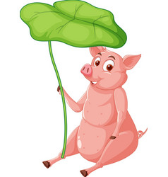 A Pig Holding Leaf Over Its Head