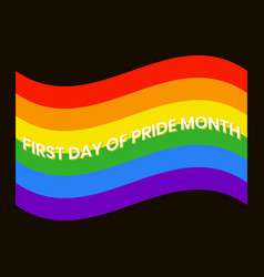 First Day Of Pride Month In The United States