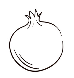 Pomegranate Line Doodle Style Hand Drawn