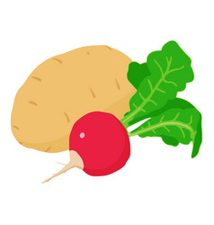 Natural Food Icon Isometric Organic