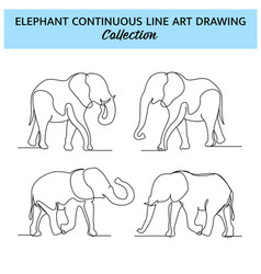 Set Of Elephant Line Design Wildlife Decorative