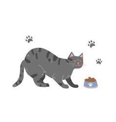 Cat With Food