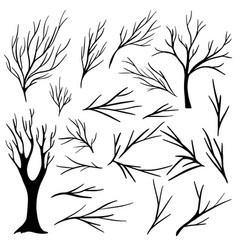 Hand Drawn Dry Tree Branches Collection Bare Tree