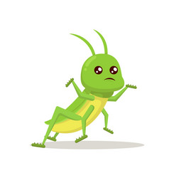 Grasshopper