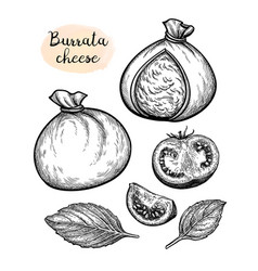 Burrata Cheese Ink Sketch Set