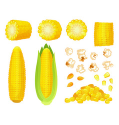 Cartoon Corn Golden Maize Harvest Popcorn Corny