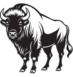 Black Bison Where Less Is More