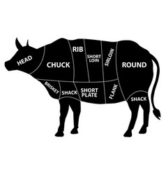 Meat Diagram Cow On White Background Cut Beef