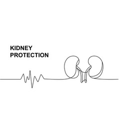 Human Kidneys With Heart Pulse One Line Continuous