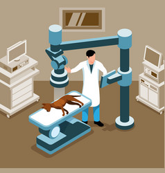 Isometric Veterinary