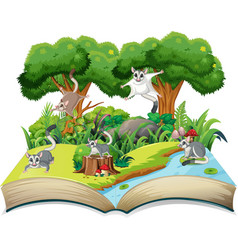 Storybook With Sugar Gliders In The Forest