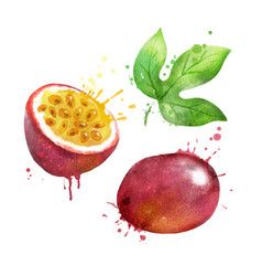 Watercolor Passionfruit