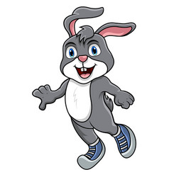 Rabbit Cartoon Sporty On White Background