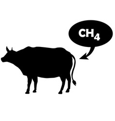 Methane Is Released By The Cow Ch4 Emissions