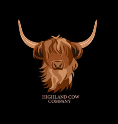 Portrait Of Highland Cattle