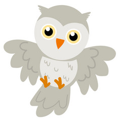 Cute Owl Cartoon Bird Doodle