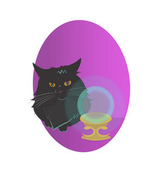 Black Magic Cat In Purple