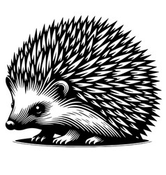 Sleek Contemporary Hedgehog Outline