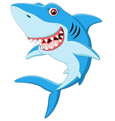 Cartoon shark Royalty Free Vector Image - VectorStock