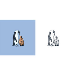 King Or Emperor Penguin Chick Adult