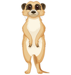 Isolated Meerkat In Cartoon Style