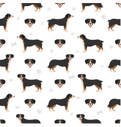 Entlebucher Mountain Dog Seamless Pattern