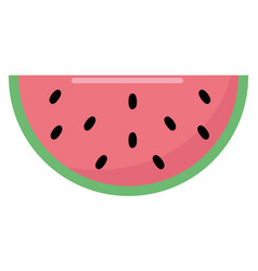 Watermelon Color Pastel Tropical