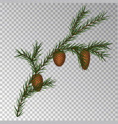 Christmas Decorations With Fir Tree And Pine Cones