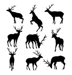 Hand Deer Drawn Animal Silhouette