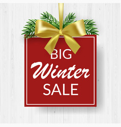 Winter Sale Promotional