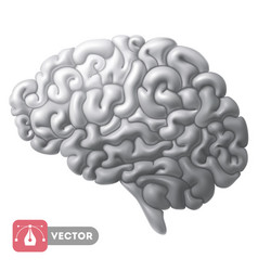 Brain 3d Icon